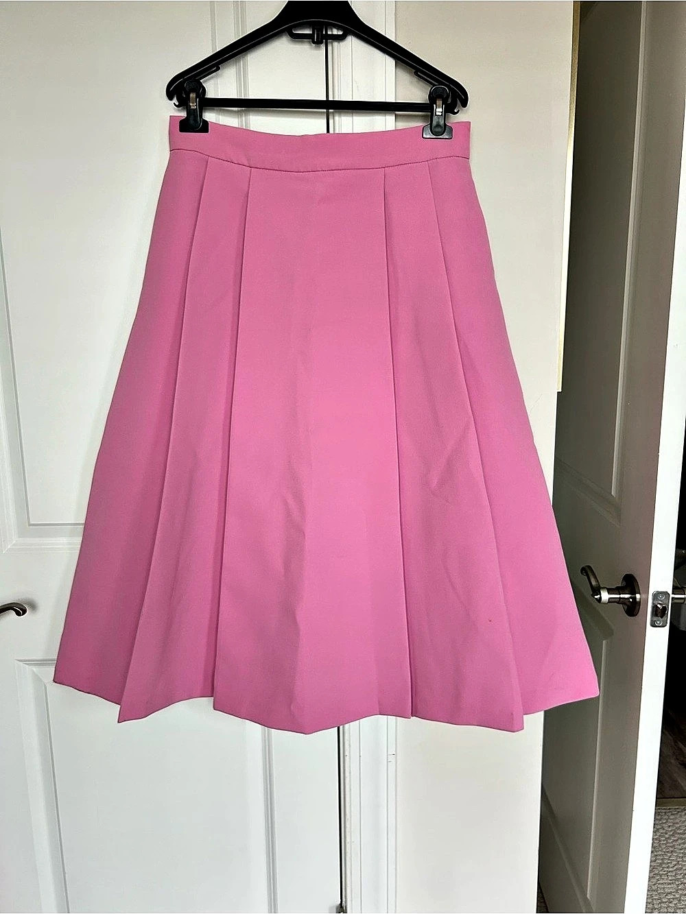 Zara Pleated A-Line Skirt in Pink Size Large